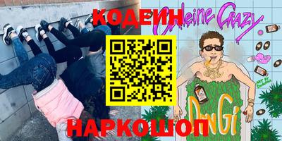 индика Партизанск