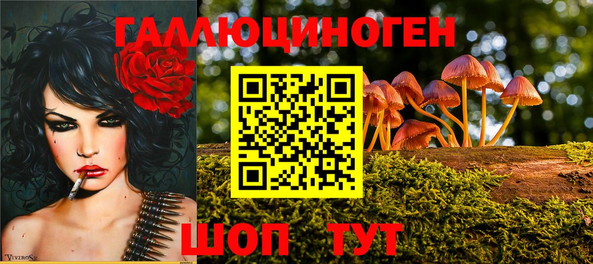 Галлюциногенные грибы прущие грибы Семилуки