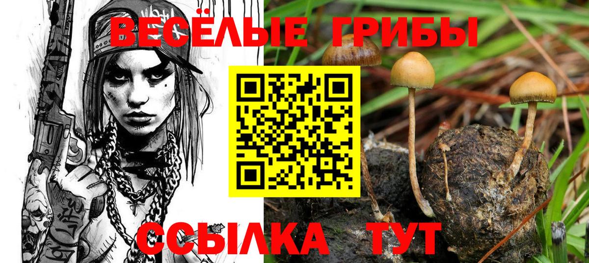 купить наркоту  Вход с VPN  Семилуки  Галлюциногенные грибы Magic Shrooms 
